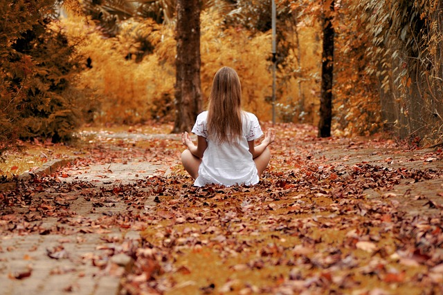 Webinar „Mental gestärkt in den Herbst“