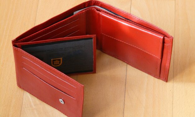 Webinar „Finanzielle Sozialleistungen in Südtirol“