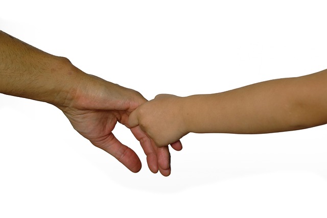 Webinar "Wer erbt meine Kinder"