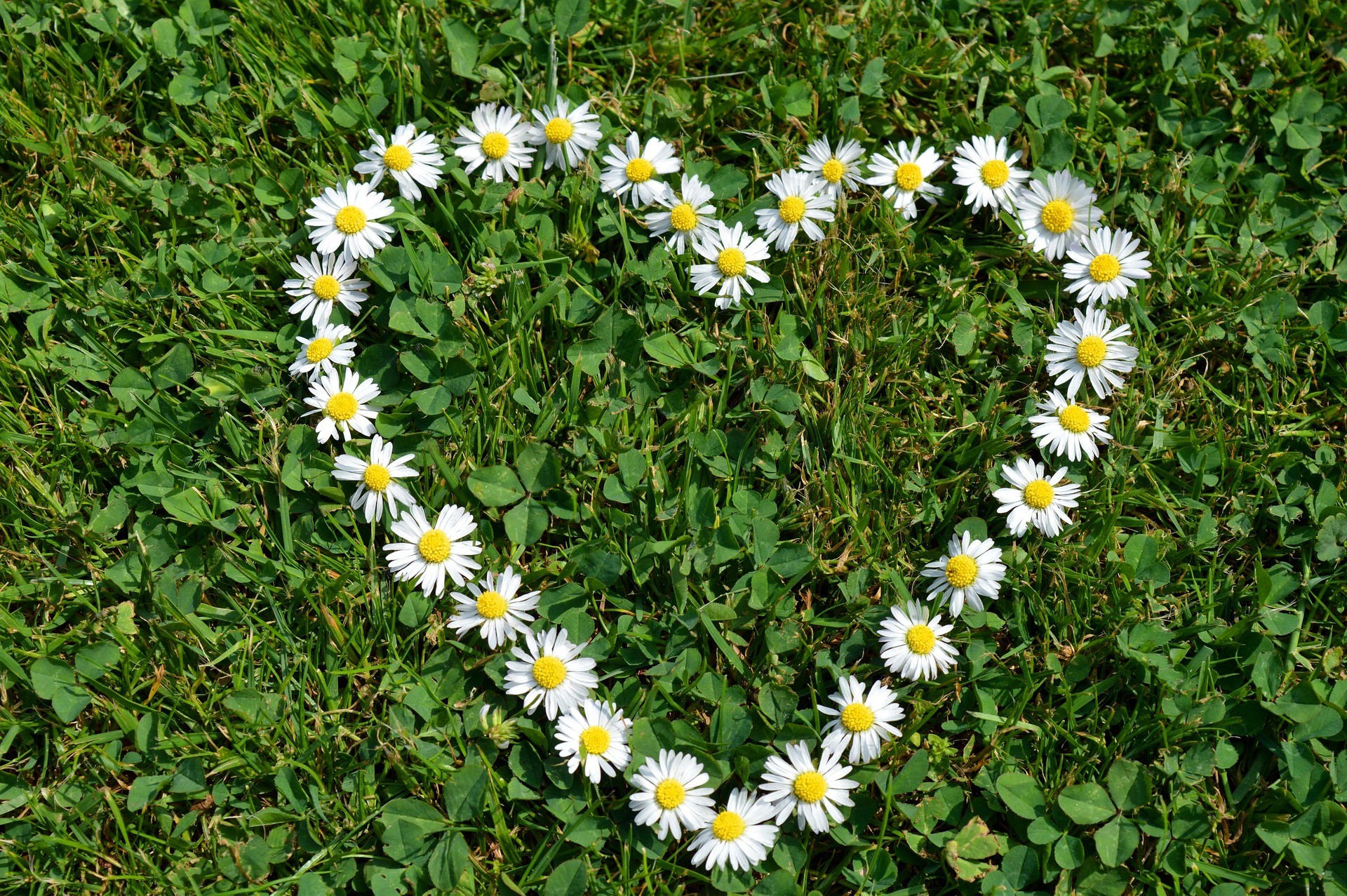 Maria Virginia Lopez